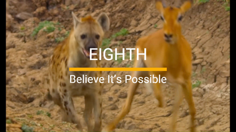 7 BIBLICAL PRINCIPLES OF SUCCESS